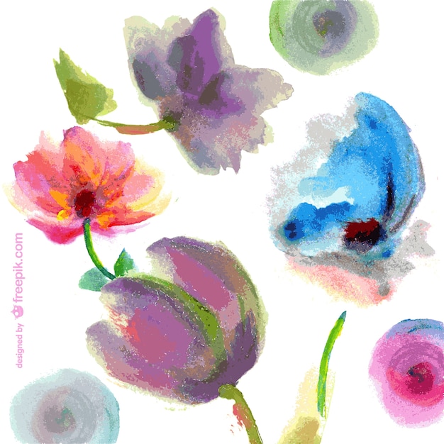 Watercolor hand painted flowers