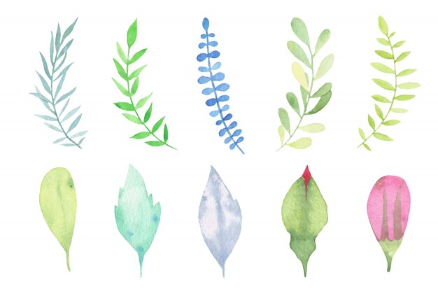 Watercolor hand painted leaves set isolated on white