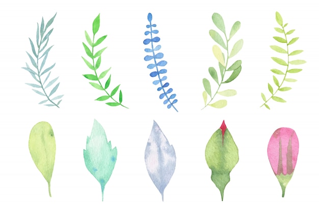 Watercolor hand painted leaves set isolated on white