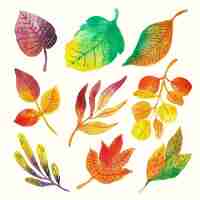 Free vector watercolor hand painted leaves set