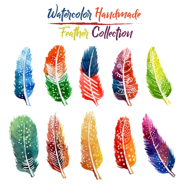 Vettore gratuito acquerello handmade feather collection