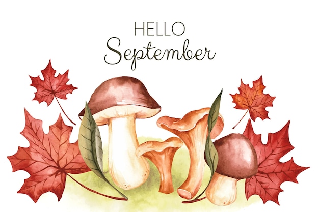 Watercolor hello september background