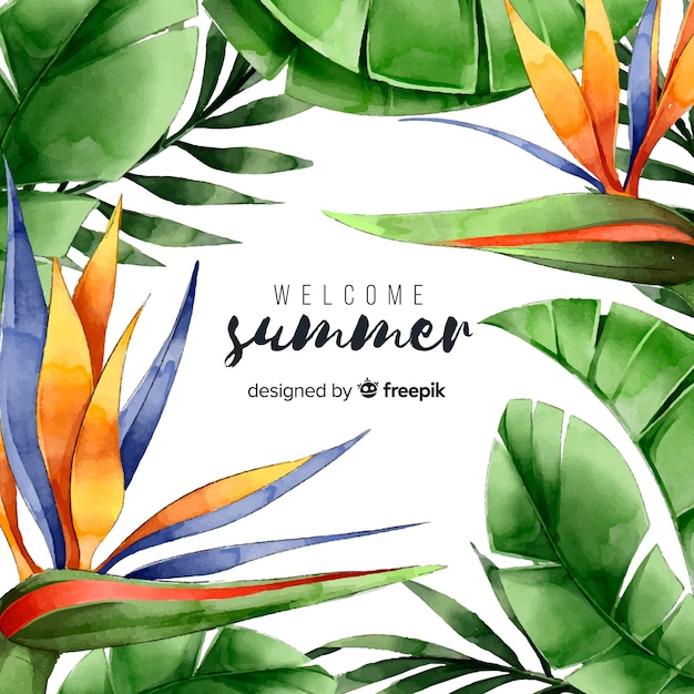 Watercolor hello summer background