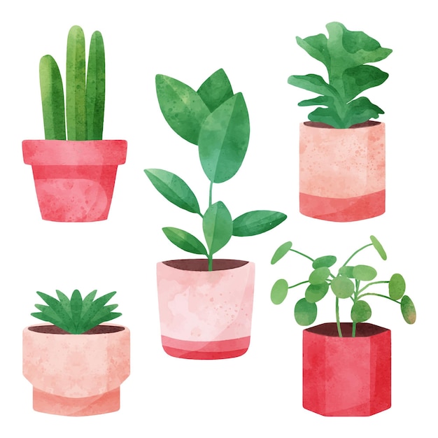 무료 벡터 냄비에 수채화 houseplants 컬렉션