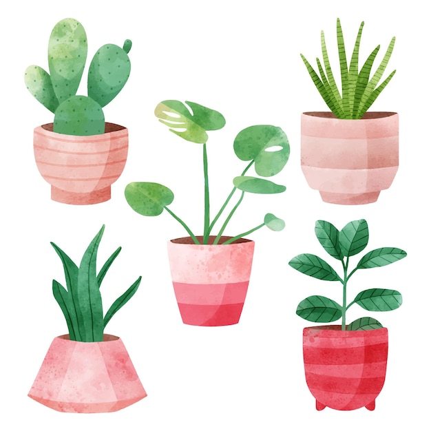 Watercolor houseplants collection in pots