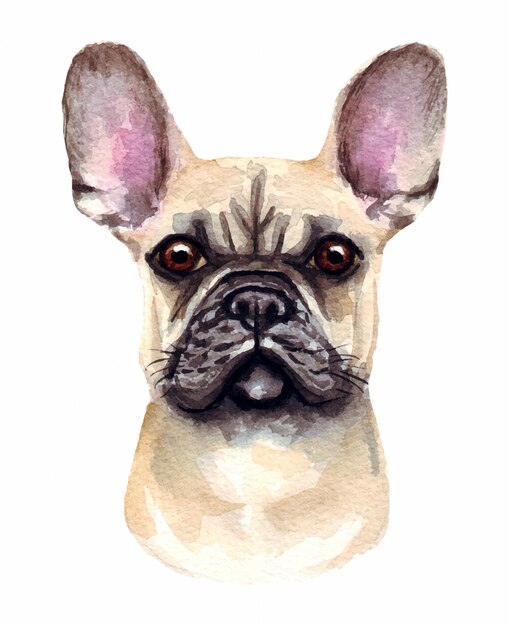 面白い犬の水彩イラスト 人気の犬種 犬のフレンチブルドッグ 白で隔離される手作りの文字 プレミアムベクター