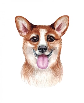 面白い犬の水彩イラスト 人気の犬種 犬 ウェールズコーギー 白で隔離される手作りの文字 プレミアムベクター 面白い犬の水彩イラスト 人気の犬種 犬 ウェールズコーギー 白で隔離される手作りの文字 プレミアムベクター