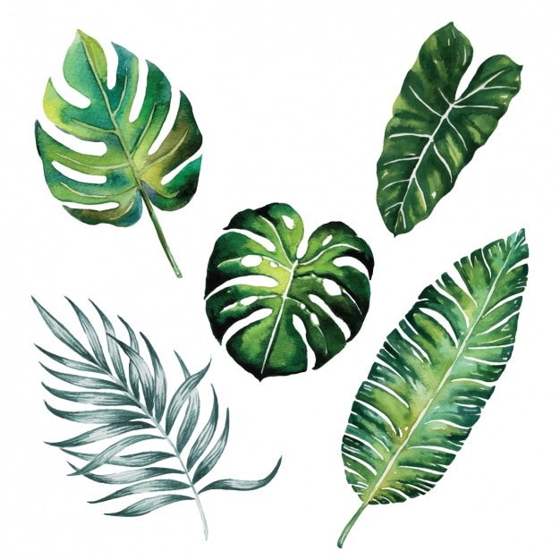 Watercolor leaves collection