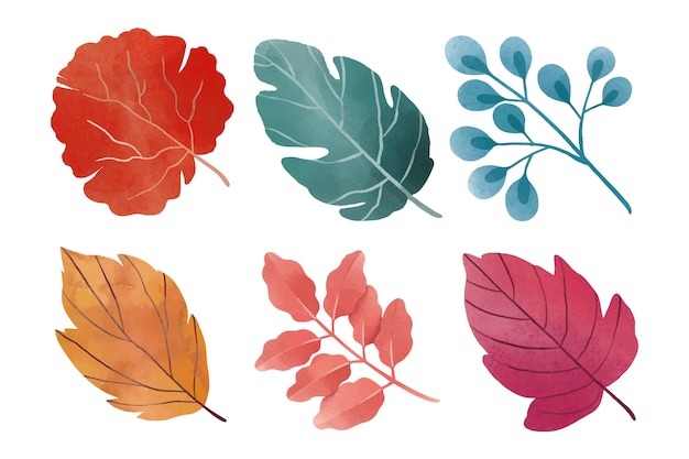 Watercolor leaves collection