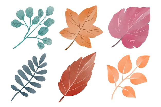 Free Vector watercolor leaves collection