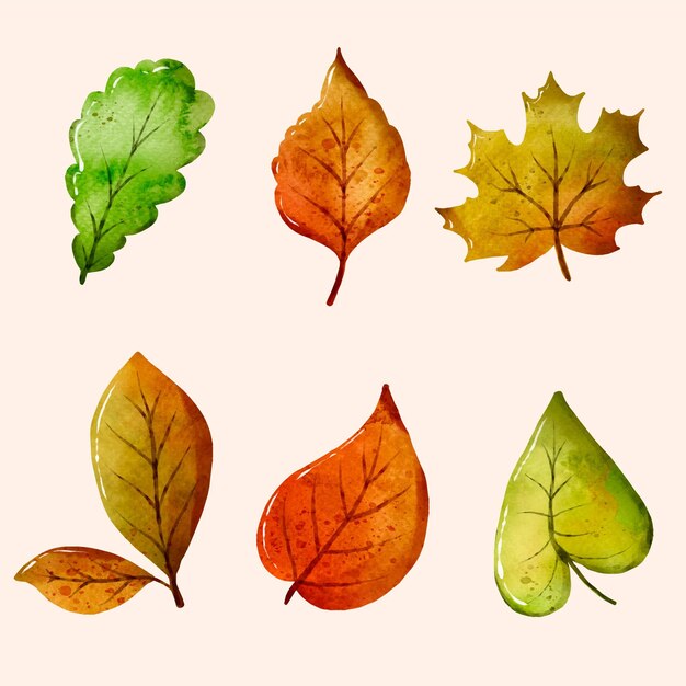 Watercolor leaves collection