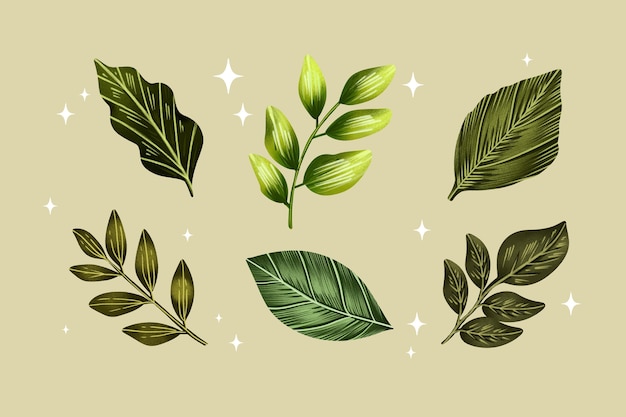 Free vector watercolor leaves design set