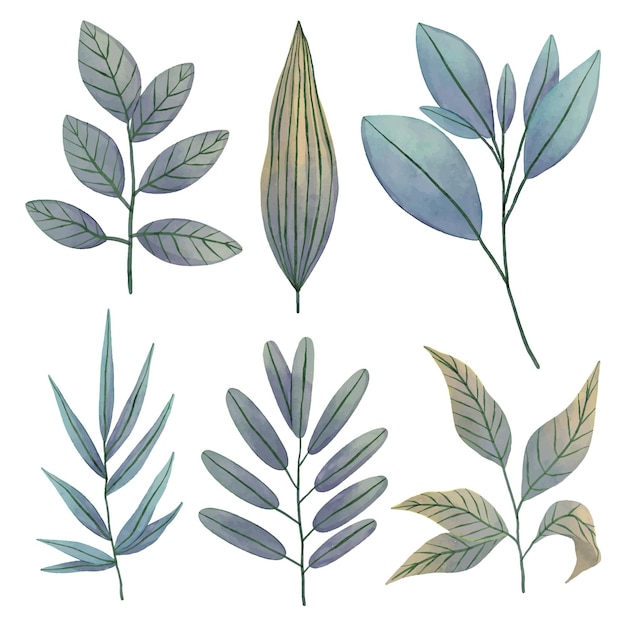 Watercolor leaves design set