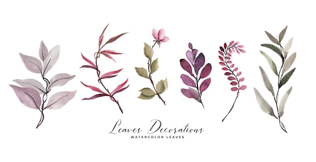 Free vector watercolor leaves and flower decoration set