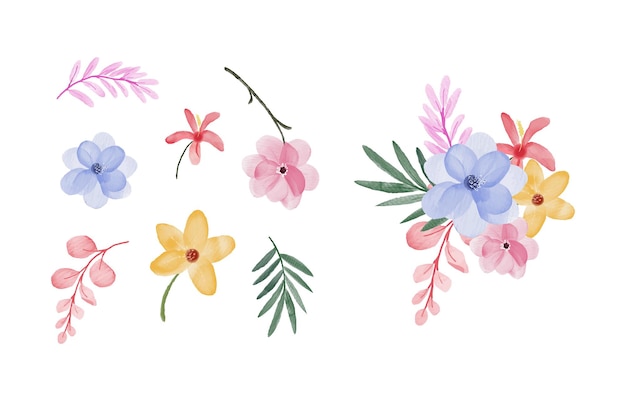 Watercolor leaves and flowers collection design