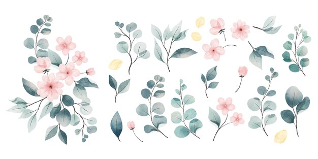 수채화 잎과 꽃 모음