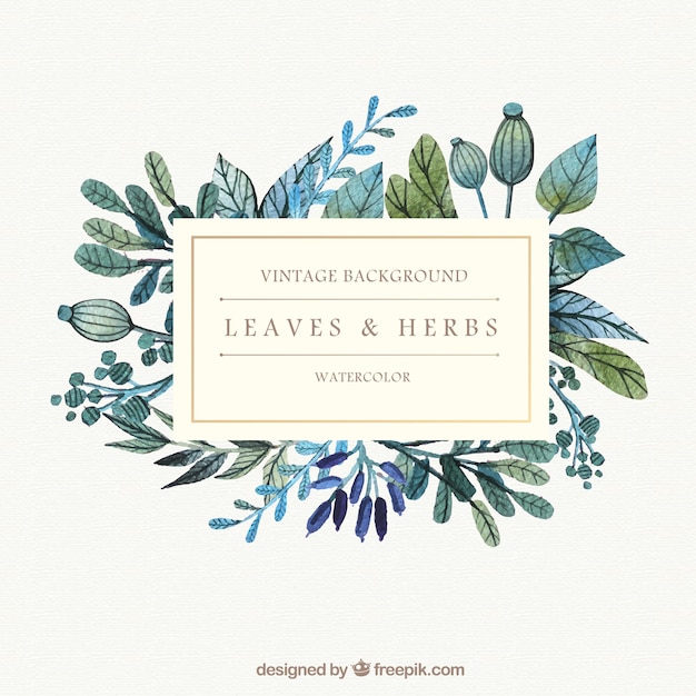 Watercolor leaves and herbs background