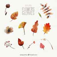 Free vector watercolor leaves with autumnal style