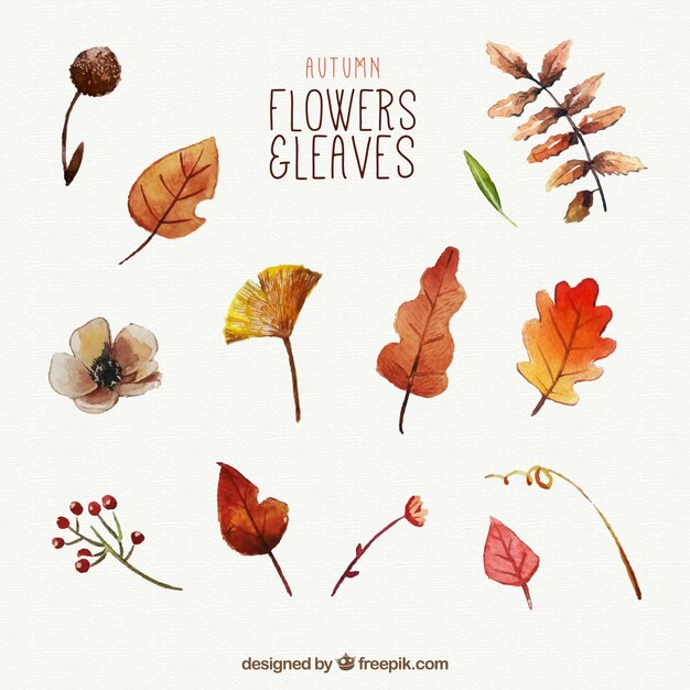 Watercolor leaves with autumnal style