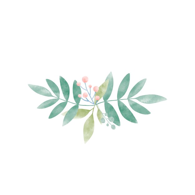 Watercolor leaves with berries vector