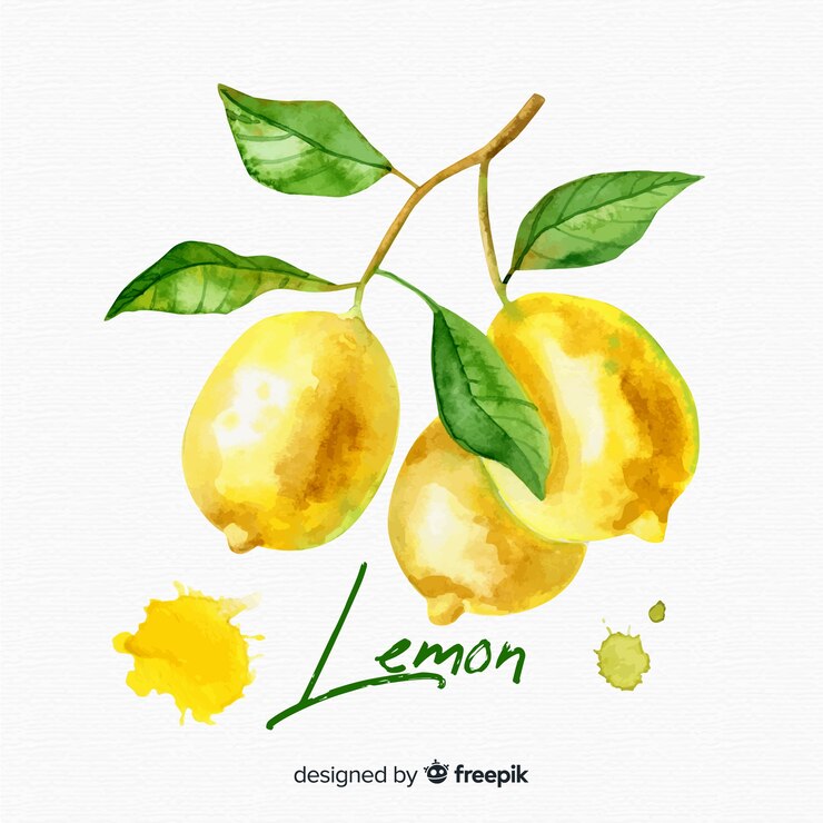 무료 Vector 수채화 레몬 배경