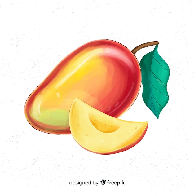 Watercolor mango illustration
