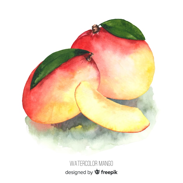 Vettore gratuito illustrazione acquerello mango