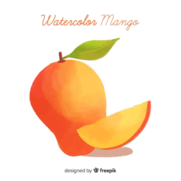 Watercolor mango illustration