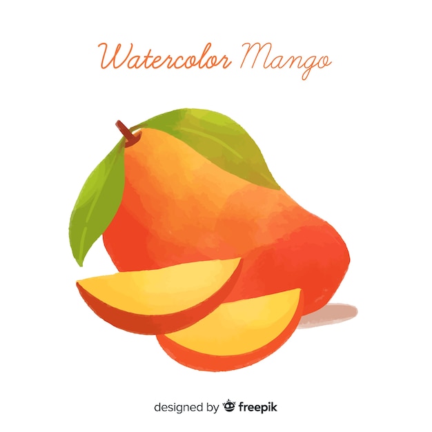 Watercolor mango illustration