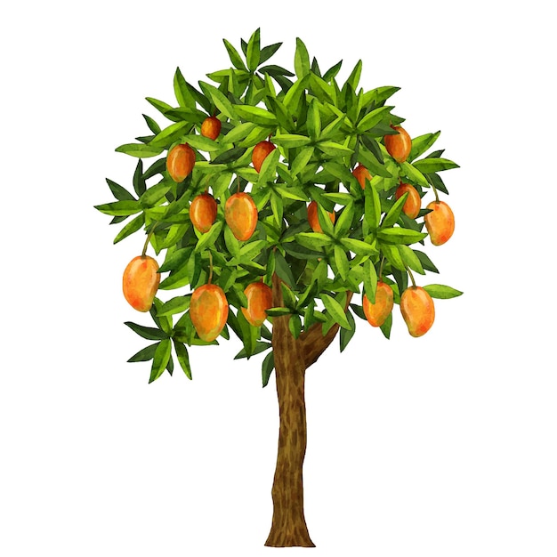 Акварельная иллюстрация дерева манго