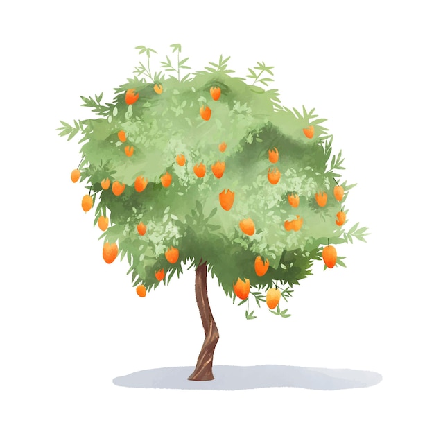 Free vector watercolor mango tree with fruits