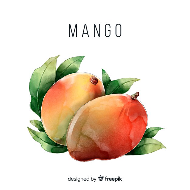Акварель манго
