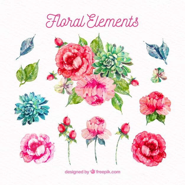 Watercolor modern floral elements