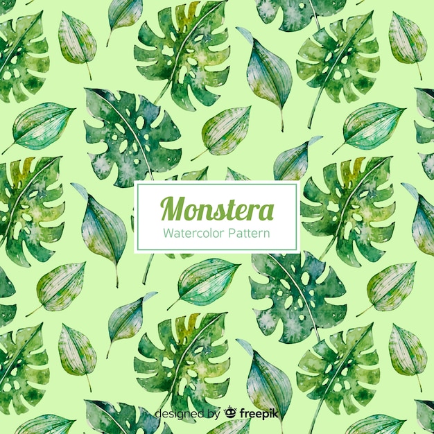 Watercolor monstera background