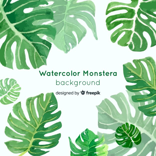 Watercolor monstera leaves background