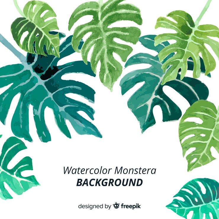 無料Vector 水彩モンステラの葉の背景