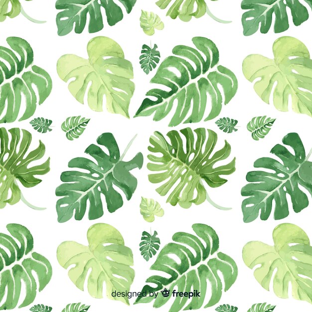 Free vector watercolor monstera leaves background