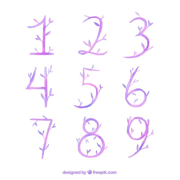 Watercolor numbers with floral style