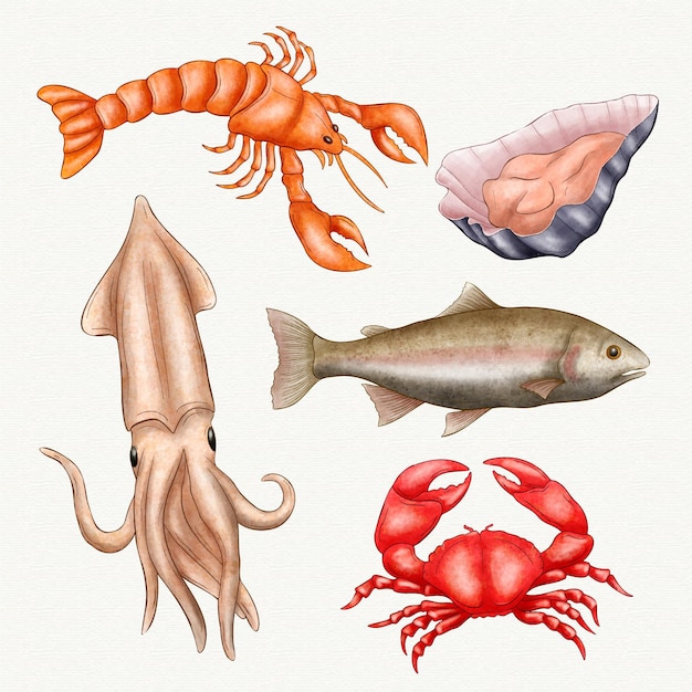 無料ベクター 水彩の海の生き物コレクション