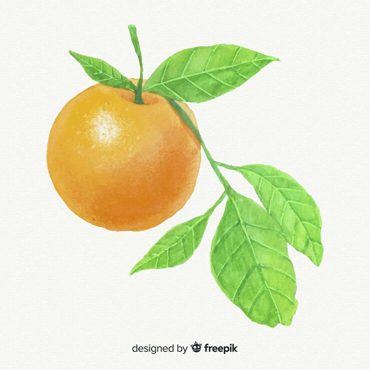 무료 Vector 수채화 오렌지 배경입니다.