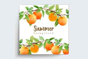 Бесплатное векторное изображение Акварель апельсиновый фруктовый венок границы и дизайн рамки
