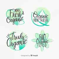 Free vector watercolor organic fruit label set