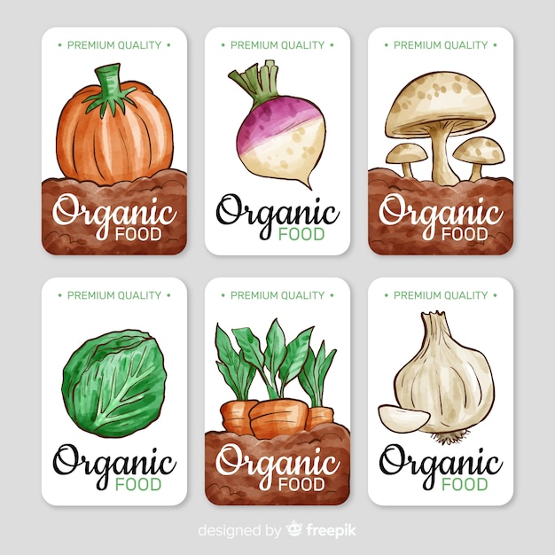 Free vector watercolor organic fruit label set