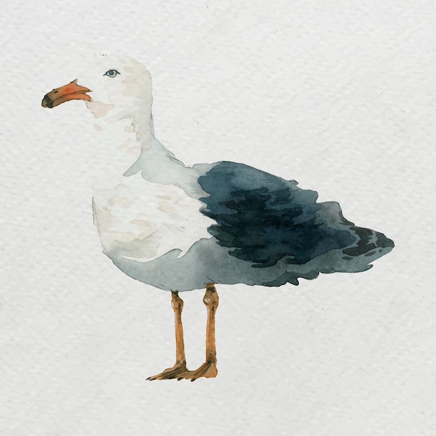 Watercolor painted seagull on white canvas