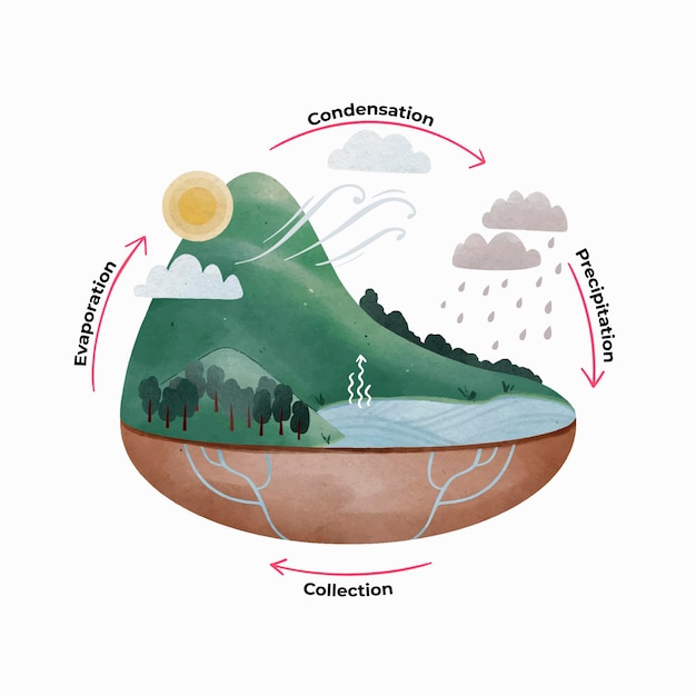 Watercolor painted water cycle