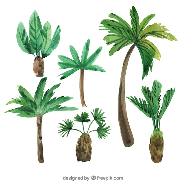 Акварельные пальмы