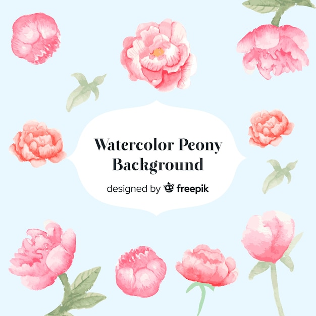 Free vector watercolor peony flowers background