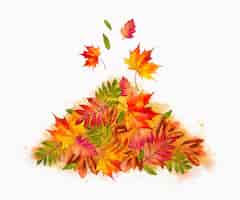 Free vector watercolor pile of autumn leaves