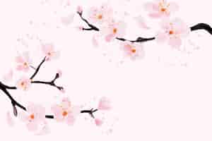 Free vector watercolor pink flower plum blossom background