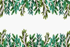 Free vector watercolor plants and leaves frame